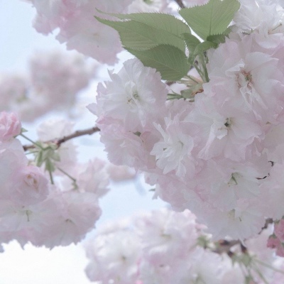 Furry兽圈美学分享Furry群